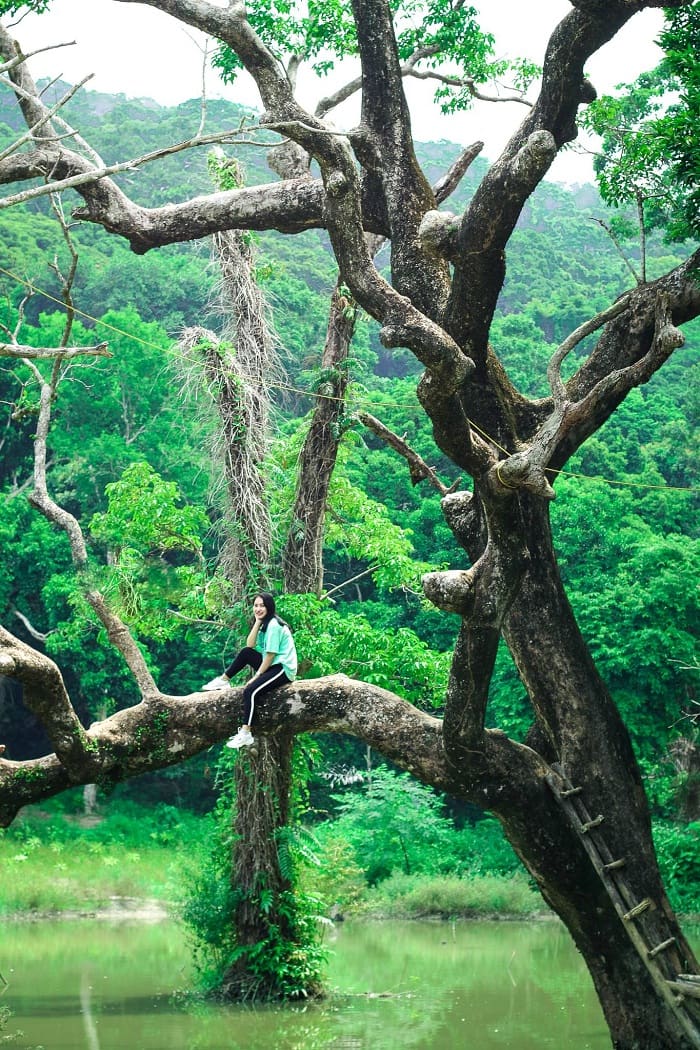 khu du lịch sinh thái Đà Nẵng Nhất Lâm Thủy Trang Trà