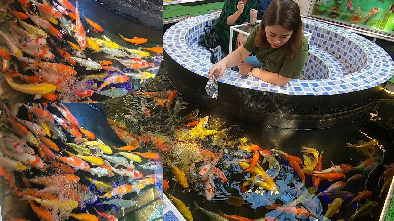 quán ăn trung quốc sài gòn