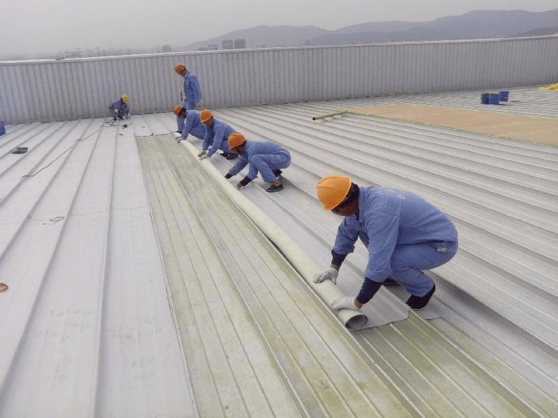 chống thấm dột trà vinh chống thấm dột trà vinh