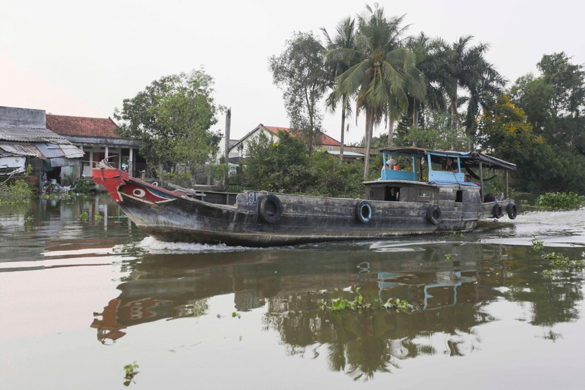 công ty lữ hành