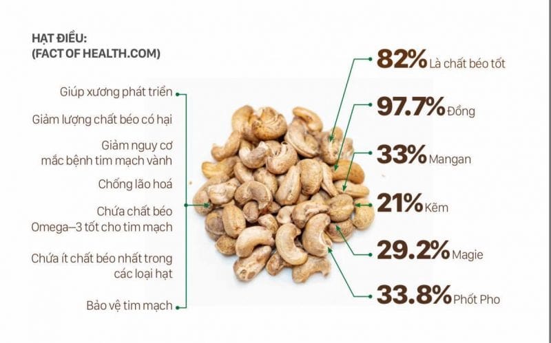 công ty xuất nhập khẩu hạt điều