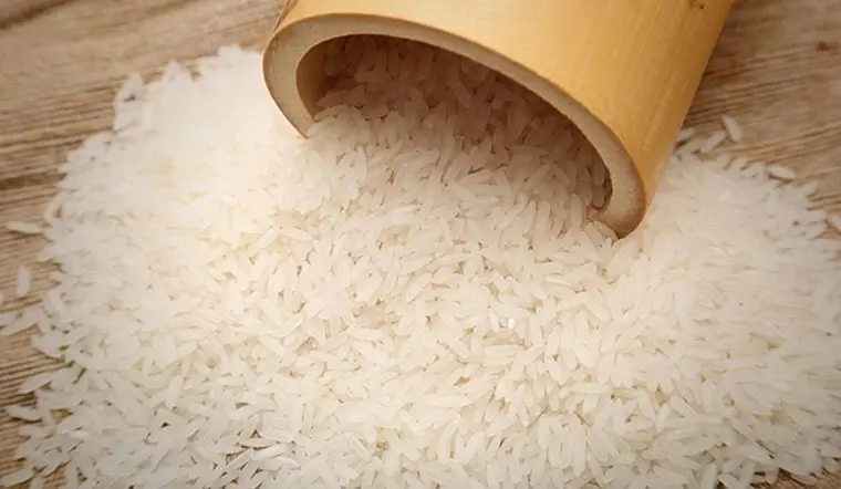 Top 5 Công Ty Xuất Khẩu Gạo Uy Tín, Chất Lượng