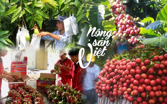 công ty xuất khẩu nông sản