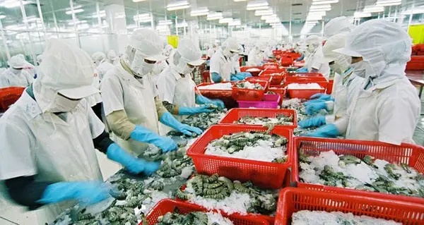Khám Phá Top 5 Công Ty Xuất Khẩu Thủy Sản Uy Tín Tại Việt Nam