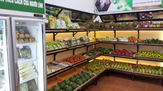 Top 13 Cửa Hàng Thực Phẩm Sạch Hà Nội Mà Hội Chị Em Nên Biết