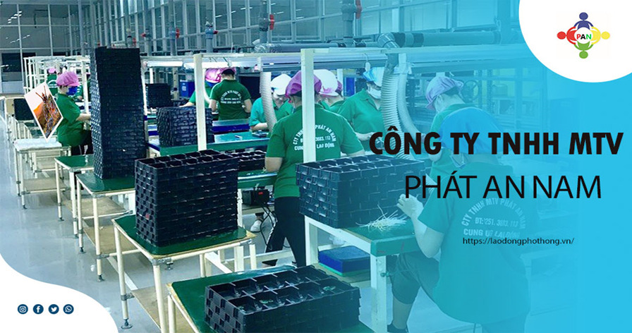 cung ứng lao động đồng nai Công Ty TNHH MTV Phát An Nam