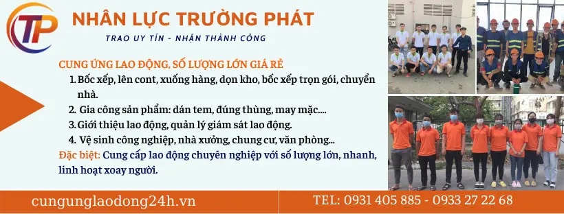 Khám Phá Top 10 Công Ty Cung Ứng Lao Động TPHCM