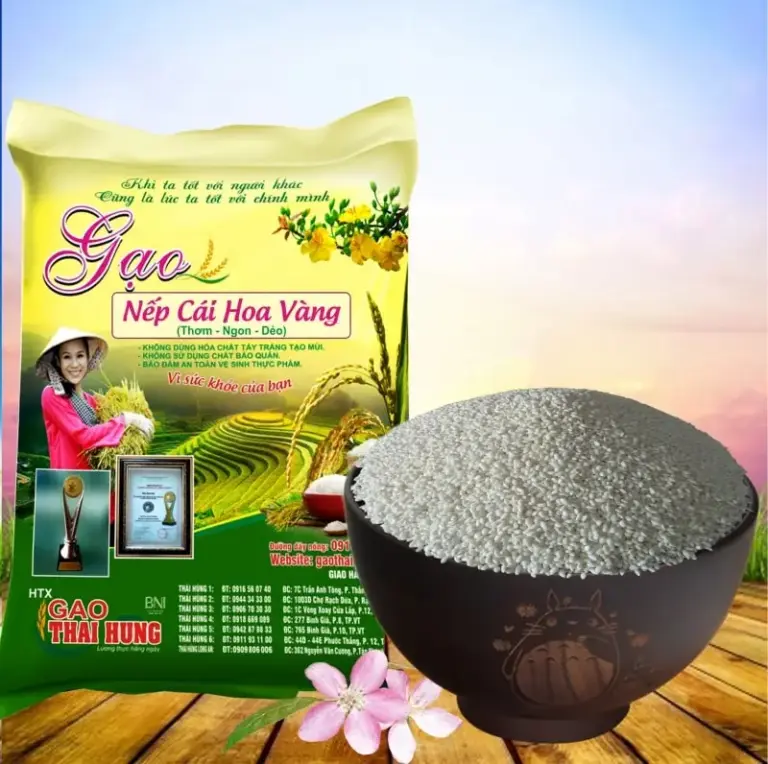 Gợi Ý Top 3 Đại Lý Gạo Vũng Tàu Uy Tín, Chất Lượng Nhất