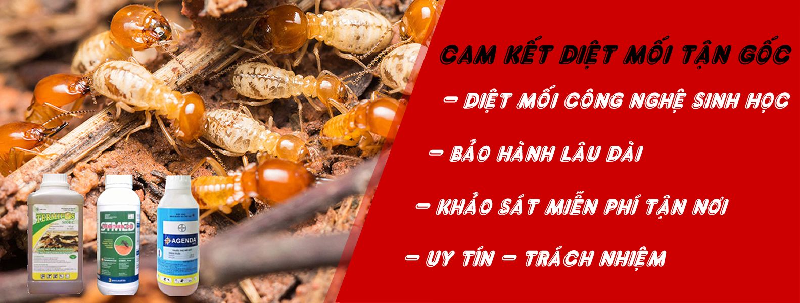 Công Ty Bảo Việt