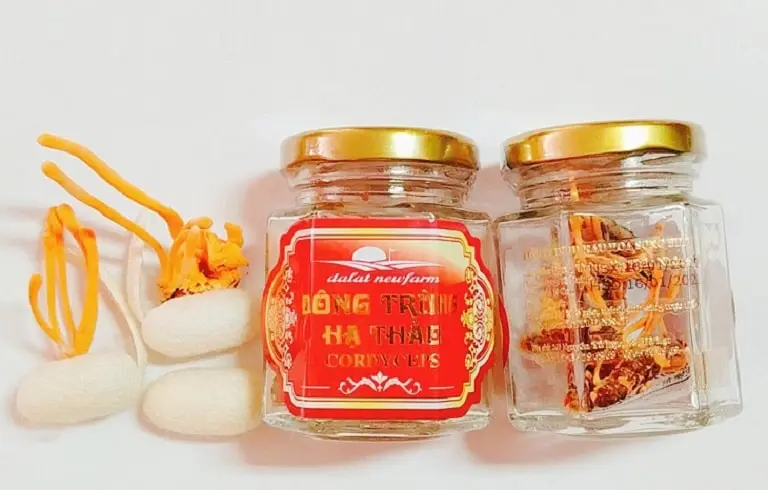 Top 5 Địa Chỉ Bán Đông Trùng Hạ Thảo Đà Lạt Uy Tín Chất Lượng