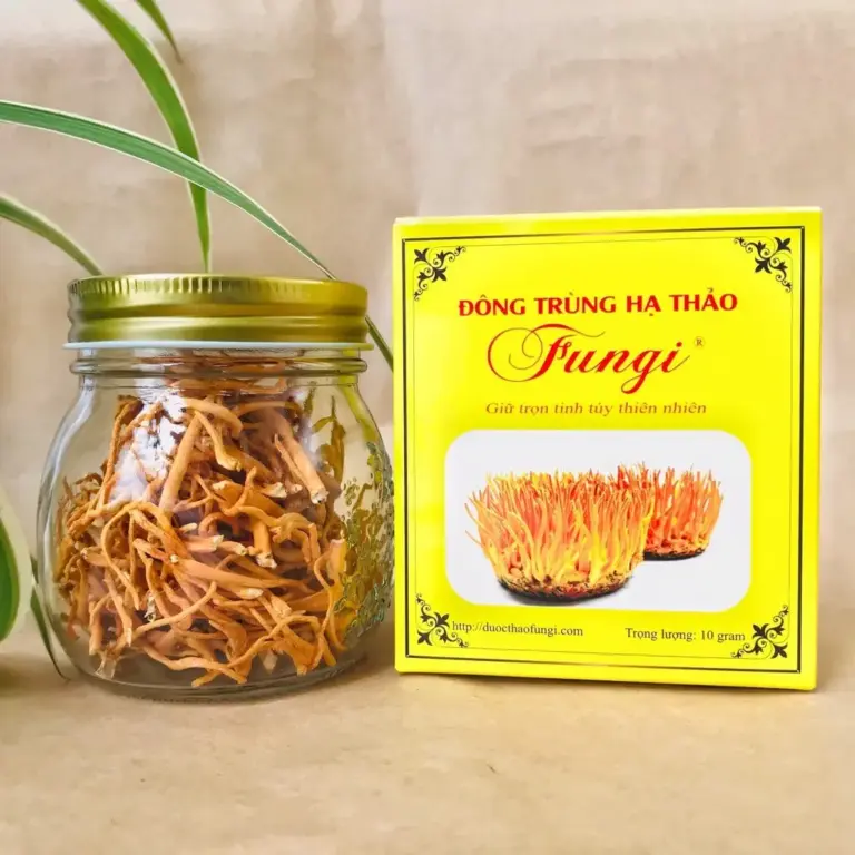 Bỏ Túi Top 6 Địa Chỉ Cung Cấp Đông Trùng Hạ Thảo Khô Cần Thơ Uy Tín