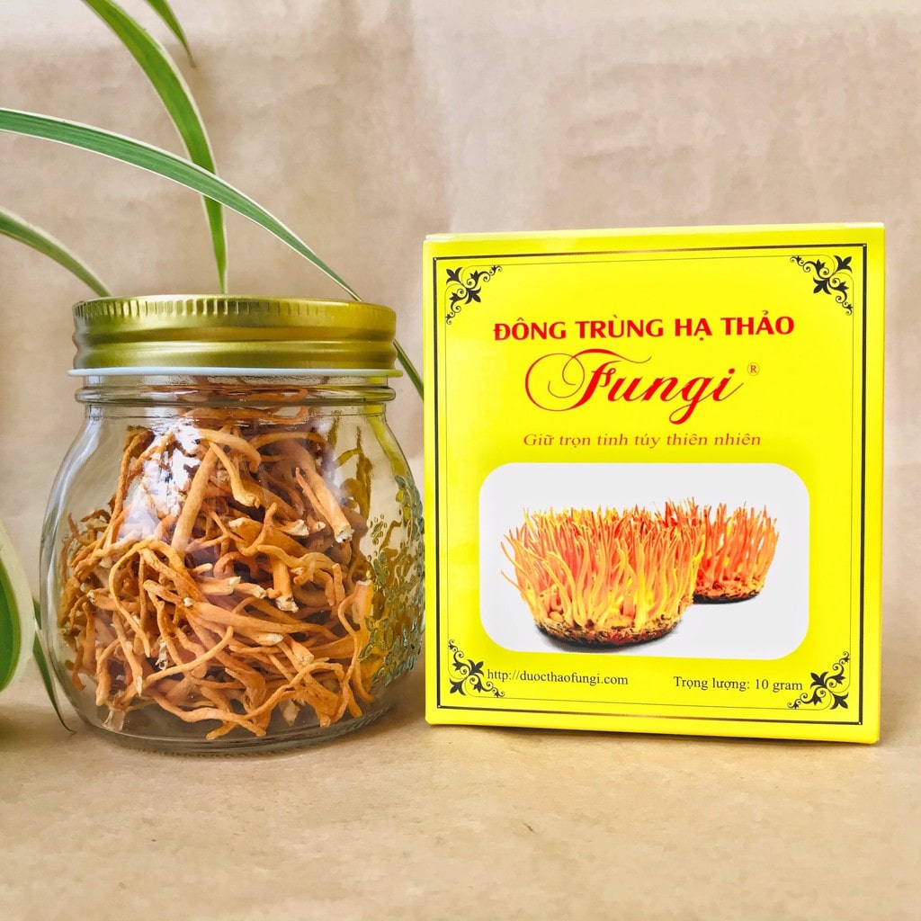 đông trùng hạ thảo khô cần thơ Dược Thảo FUNGI