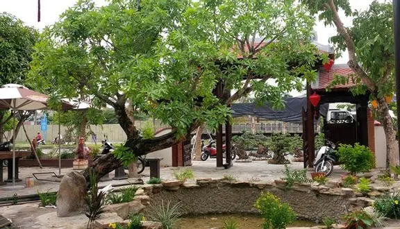 Top 10 Quán Ăn Trưa Ở Đà Nẵng Hấp Dẫn Níu Chân Thực Khách