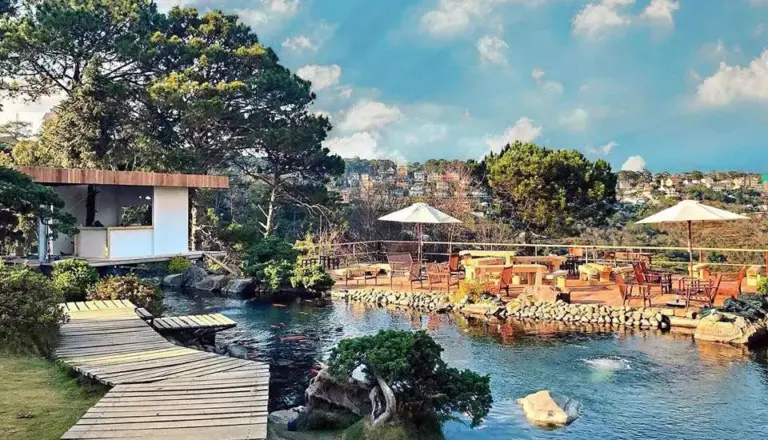 Top 5 Cafe Cá Koi Đà Lạt Đẹp, Hấp Dẫn Và Thu Hút  Nhất