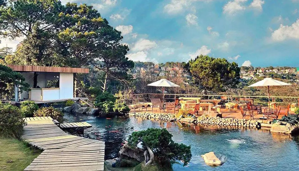 Top 5 Cafe Cá Koi Đà Lạt Đẹp, Hấp Dẫn Và Thu Hút  Nhất