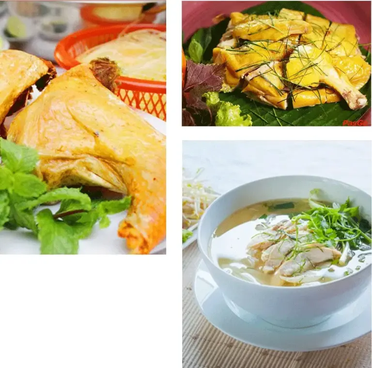 TOP 6 Địa Chỉ Bán Gà Mạnh Hoạch Thái Bình Ngon Chuẩn Vị