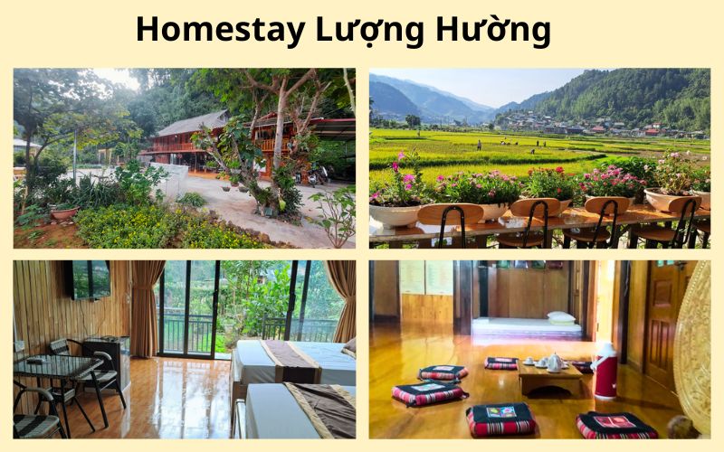 Lượng Hường Homestay