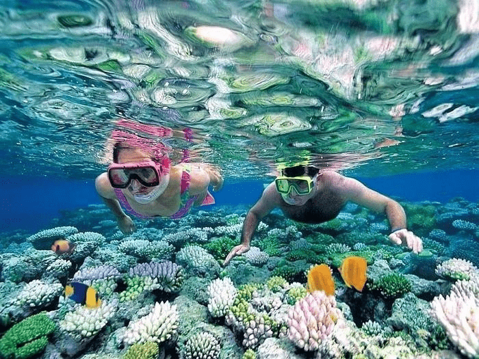 tour 3 đảo nha trang tour 3 đảo nha trang