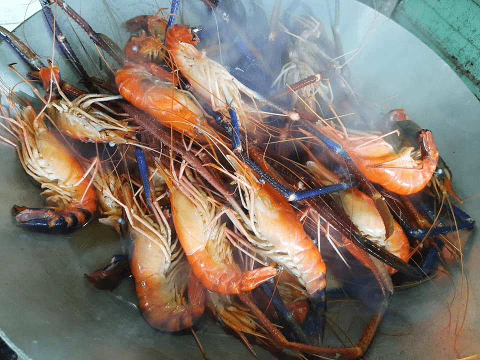 quán nhậu Tây Ninh quán nhậu Tây Ninh