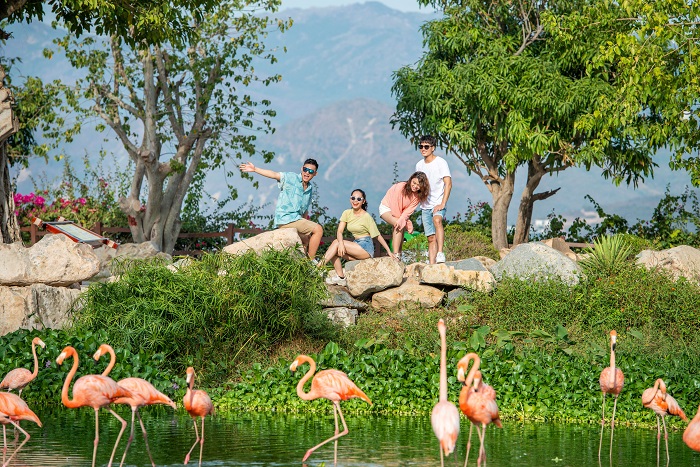 công ty du lịch nha trang công ty du lịch nha trang
