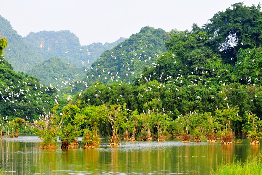 khu du lịch sinh thái Ninh Bình