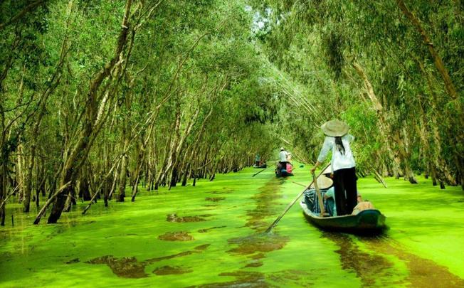 Khu Du lịch Sinh Thái Rừng Tràm Trà Sư 