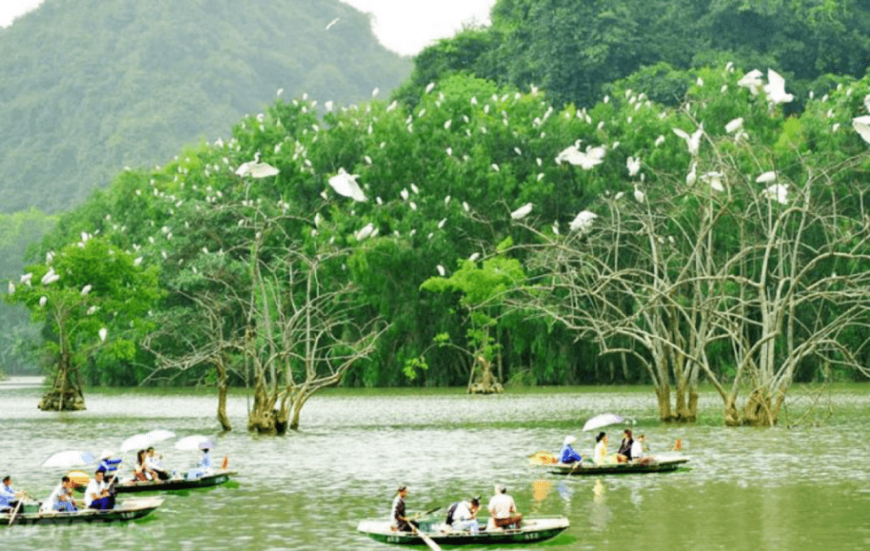 khu du lịch sinh thái quy nhơn khu du lịch sinh thái quy nhơn