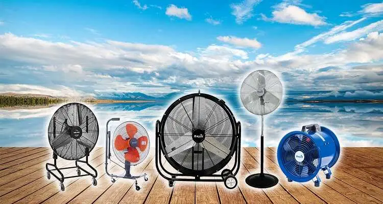 Top 5 Địa Chỉ Cung Cấp Báo Giá Quạt Chân Quỳ Chất Lượng Nhất