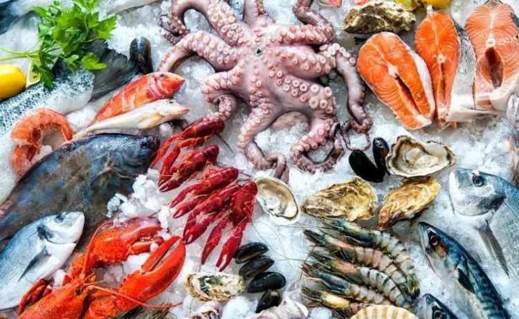 Top 10 Món Ăn Phải Thử Hải Phòng Không Thể Bỏ Qua Khi Đến Với Đất Cảng