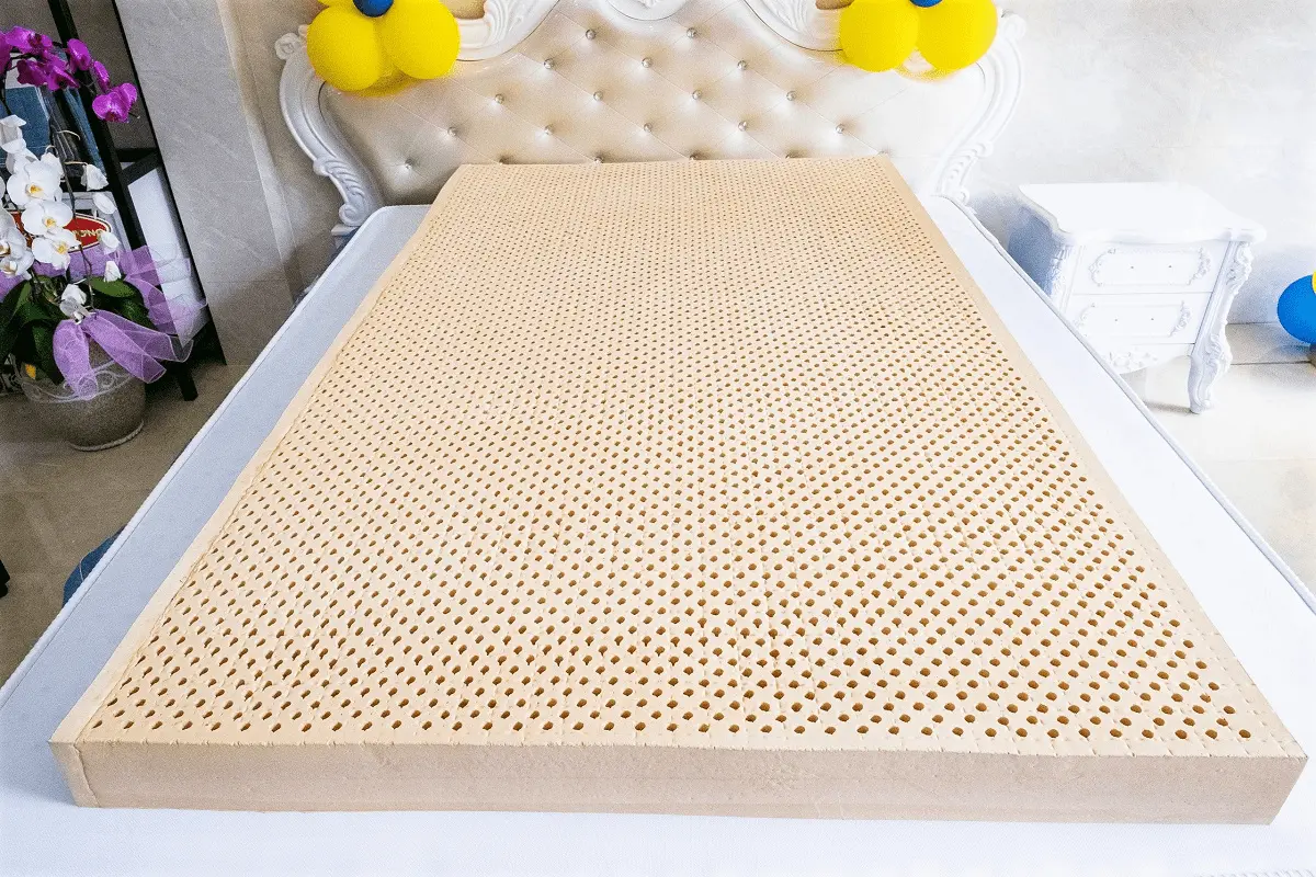 Bật Mí Top 5 Địa Chỉ Phân Phối Nệm Cao Su Đồng Tháp Giá Tốt