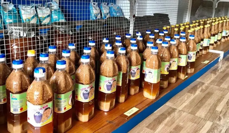 Cùng Tìm Hiểu Ngay Nghệ An Có Đặc Sản Gì Nào