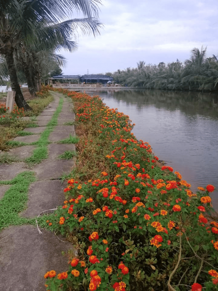 những địa điểm câu cá ở hải phòng những địa điểm câu cá ở hải phòng