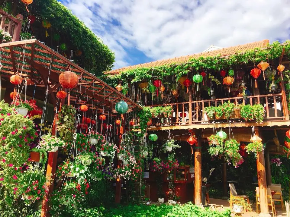 Món Ngon Ở Nha Trang Gỏi Sứa