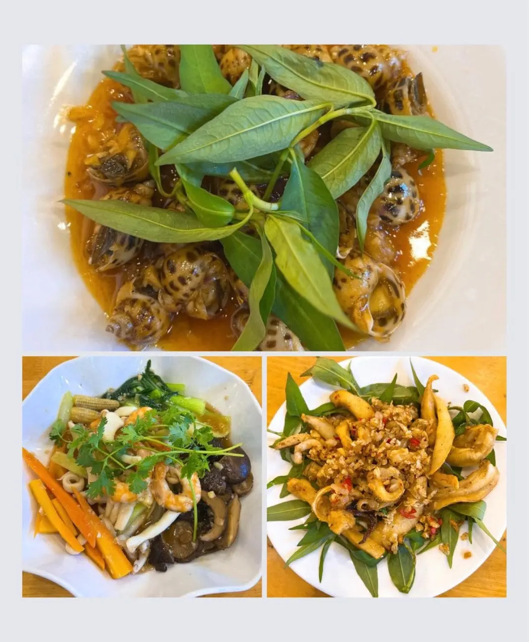 Bún, Miến Ngan Trộn