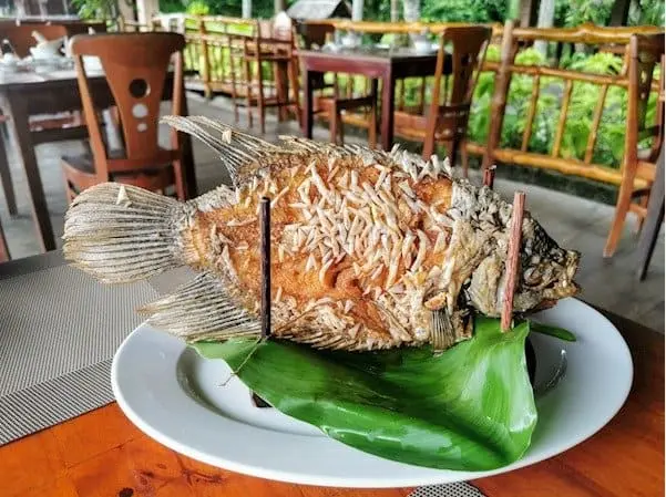 Top 17 Quán Ngon Ở Biên Hòa Say Đắm Lòng Người