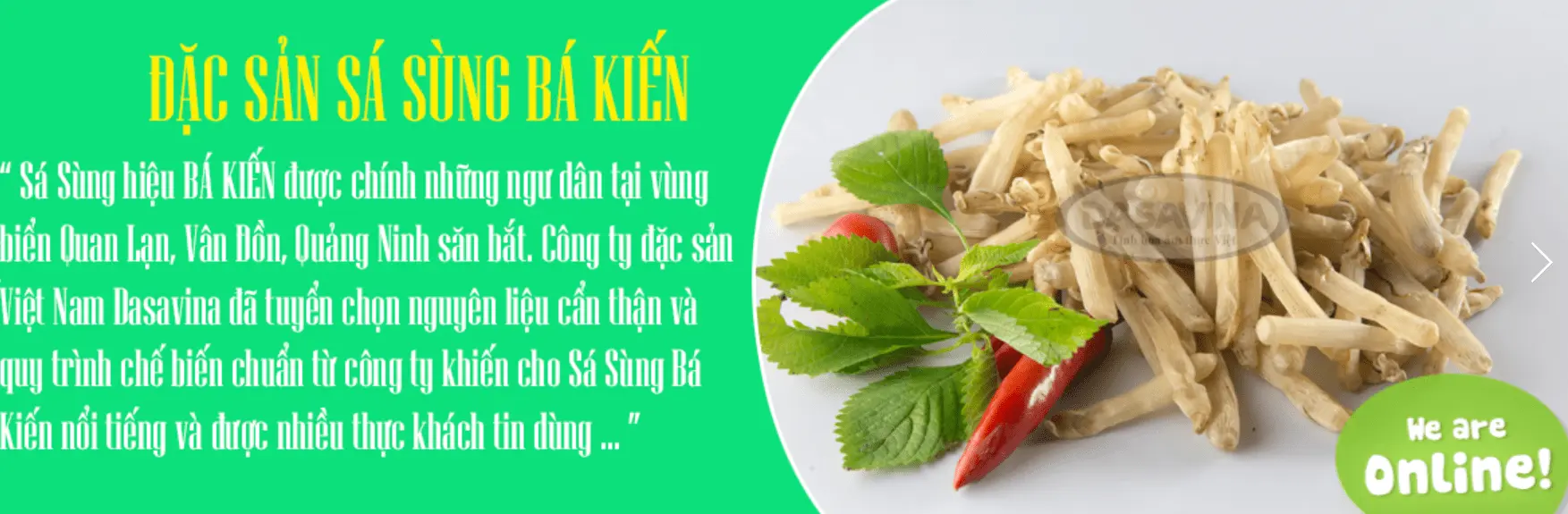 Top 5 Địa Chỉ Cung Cấp Sá Sùng Khô Chất Lượng Nhất Tại Quảng Ninh