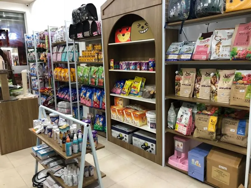 Khám Phá Top 6 Shop Thú Cưng Tây Ninh Uy Tín Nhất