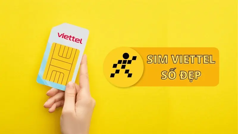 Top 5 Địa Chỉ Bán Sim Số Đẹp Hải Phòng Uy Tín Bạn Không Nên Bỏ Qua