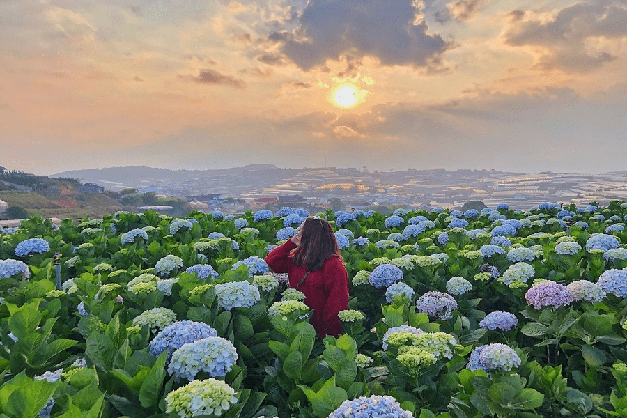 Đà Lạt Tour