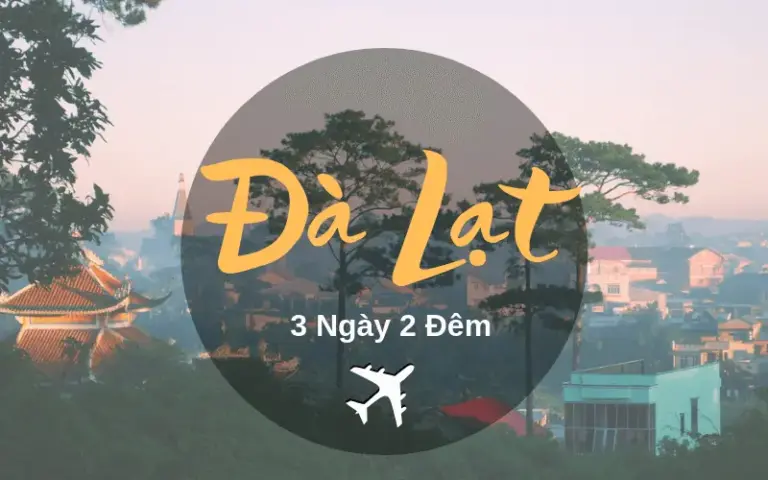 Top 6 Công Ty Cung Cấp Tour Du Lịch Đà Lạt Chất Lượng