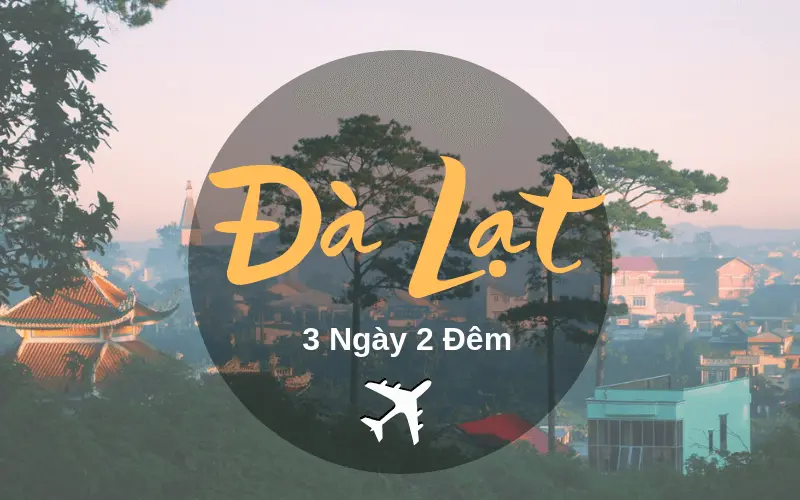 Top 6 Công Ty Cung Cấp Tour Du Lịch Đà Lạt Chất Lượng