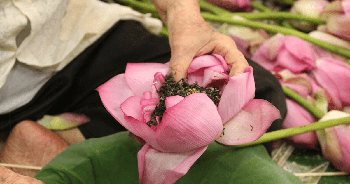 Cửa Hàng Trà Đông Sơn