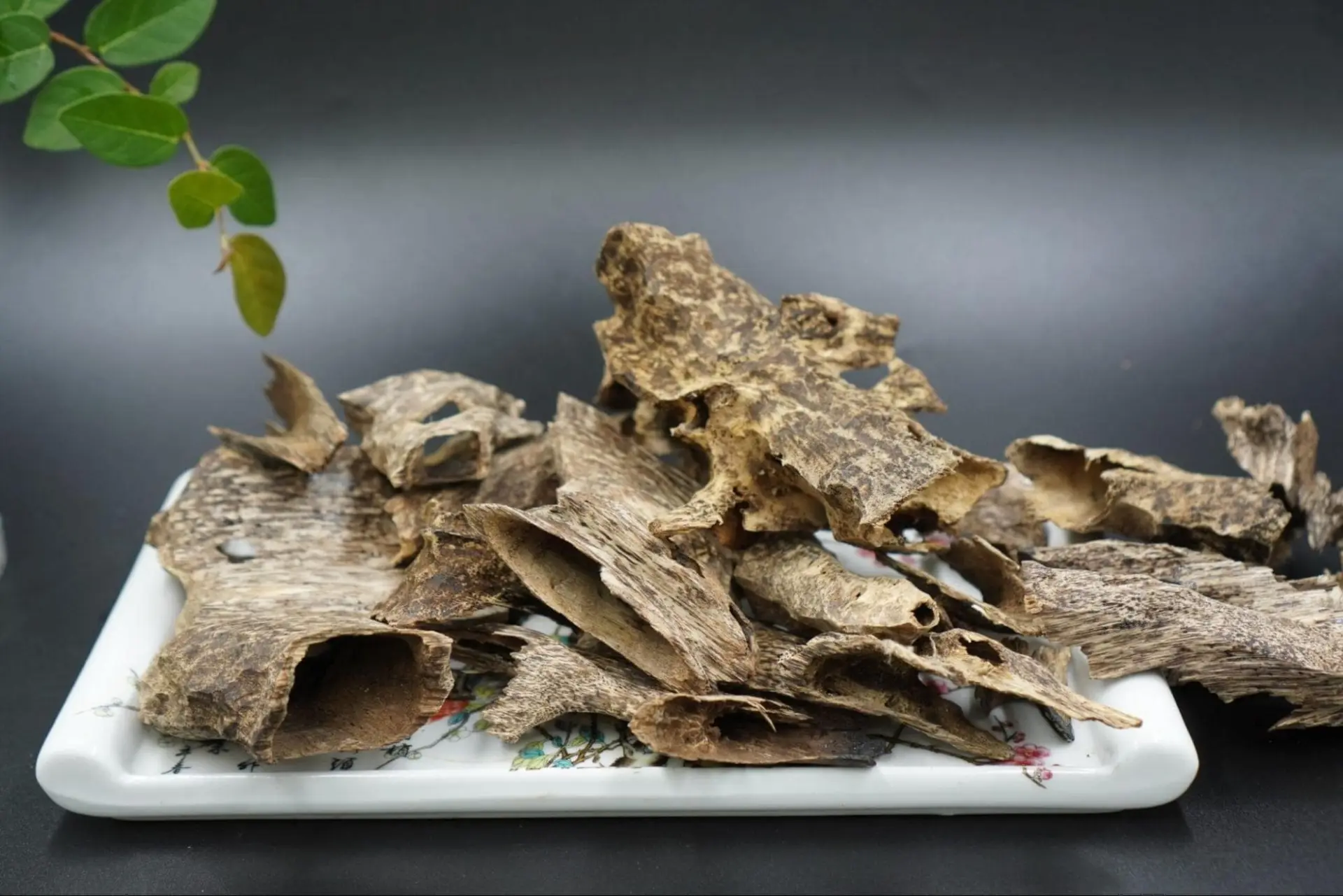 shop bán đồ decor TPHCM