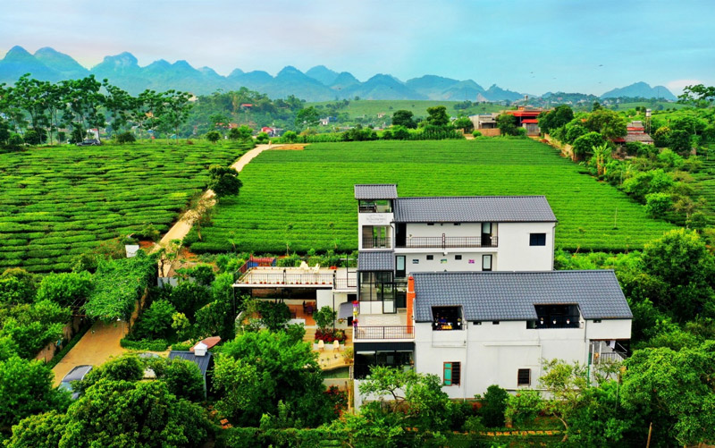 Phoenix Mộc Châu Resort