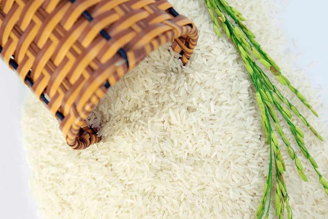 vựa gạo tiền giang Tám Tèo
