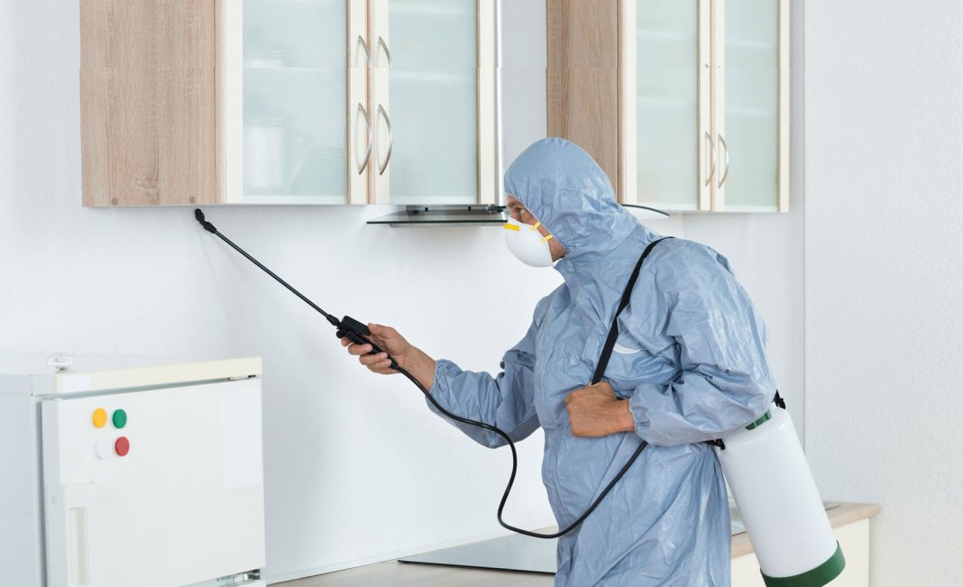 dịch vụ diệt côn trùng Bình Dương dịch vụ diệt côn trùng Bình Dương