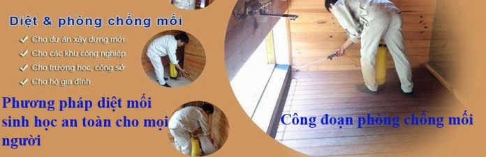 diệt mối tận gốc tại TPHCM