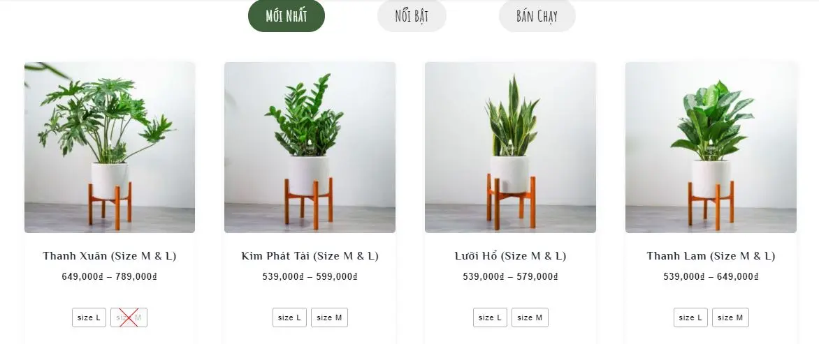 Lưu Ngay Top 10 Shop Cây Cảnh TPHCM Chất Lượng