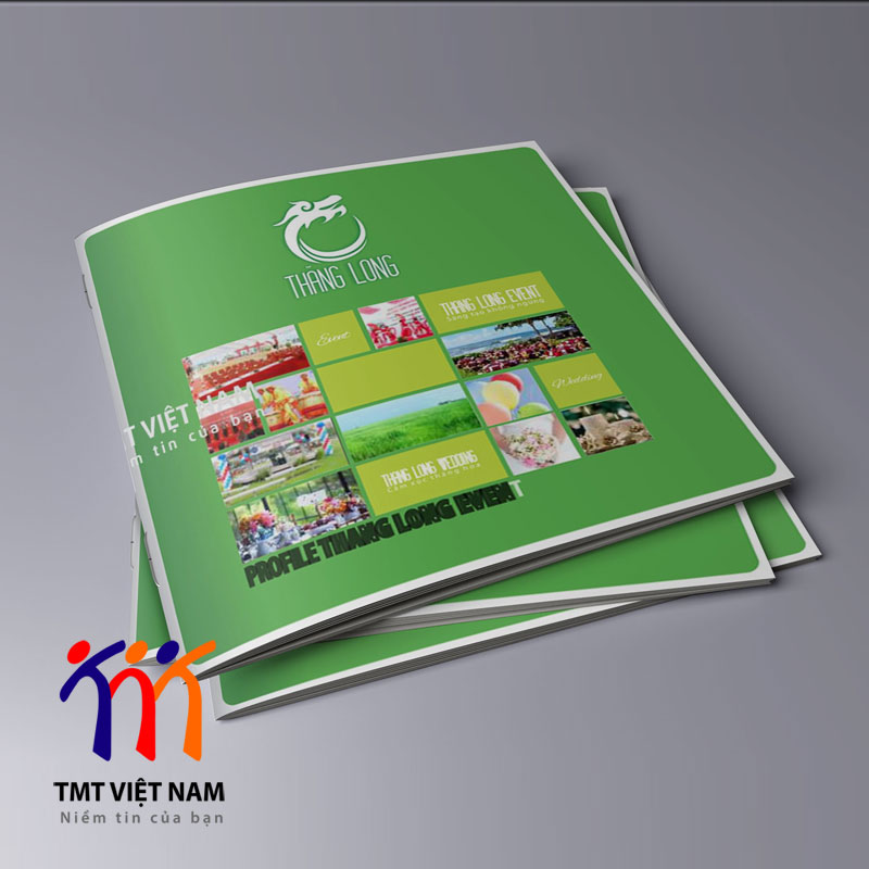 in catalogue tại hà nội