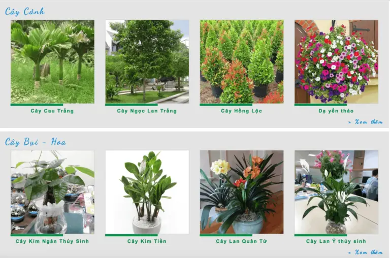 Note Ngay Top 10 Địa Chỉ Cây Cảnh Đà Nẵng Không Thể Bỏ Qua